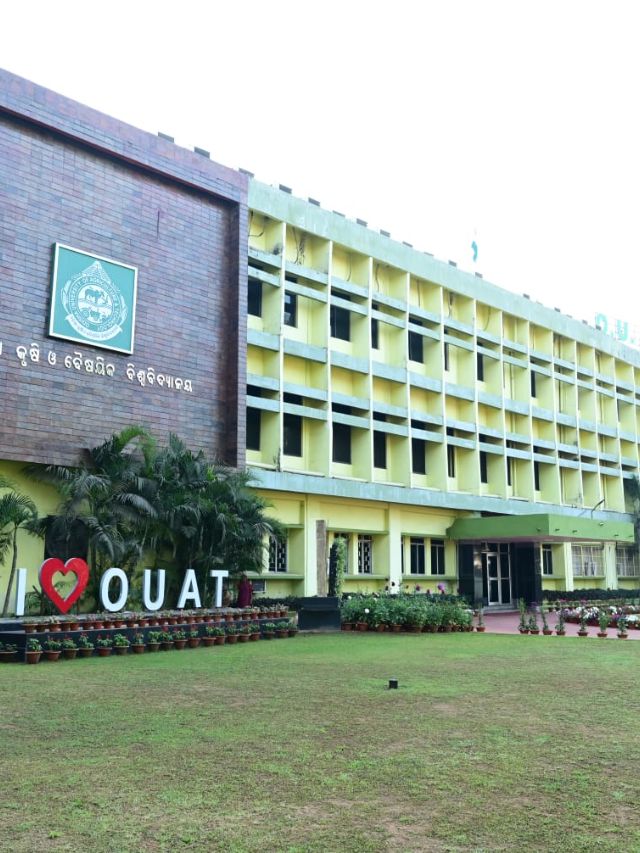 Check OUAT UG Result 2025 Here